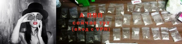 сатива Магадан