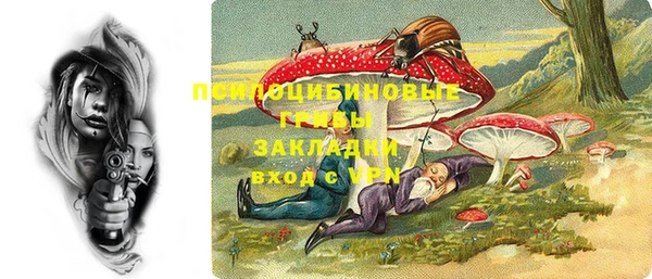 сатива Магадан