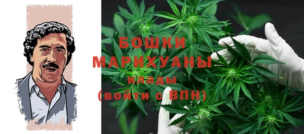 сатива Магадан